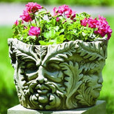 Photo of Campania Sylvan Planter - Marquis Gardens